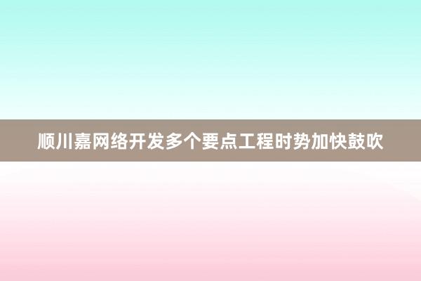 顺川嘉网络开发多个要点工程时势加快鼓吹